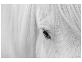 canvas-print-whisper-of-iceland