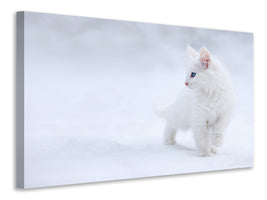 canvas-print-white-as-snow