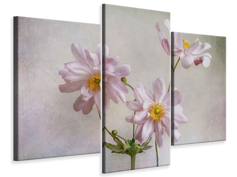 modern-3-piece-canvas-print-anemones