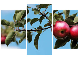 modern-3-piece-canvas-print-apple-on-the-tree