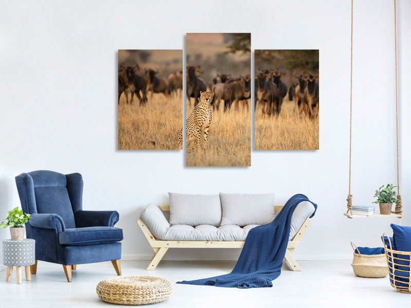 modern-3-piece-canvas-print-aware