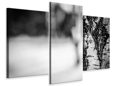 modern-3-piece-canvas-print-birch-trunk