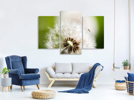 modern-3-piece-canvas-print-blowball-dandelion