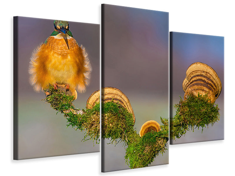 modern-3-piece-canvas-print-buhtlin