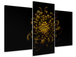 modern-3-piece-canvas-print-chrysanthemum