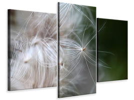 modern-3-piece-canvas-print-close-up-flowers-fibers