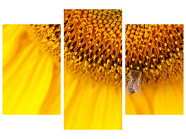 modern-3-piece-canvas-print-close-up-yellow-bud