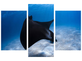 modern-3-piece-canvas-print-dancing-manta