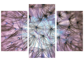 modern-3-piece-canvas-print-dandelion-in-the-light-play