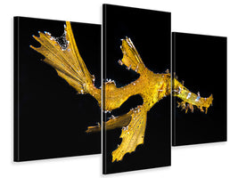 modern-3-piece-canvas-print-delicate-ghost-pipefish