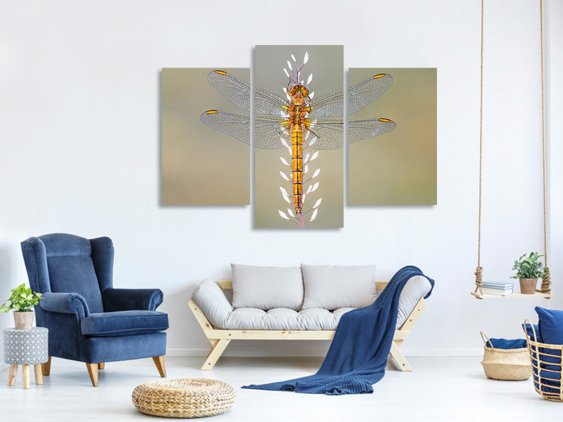 modern-3-piece-canvas-print-dragonfly