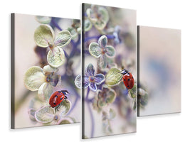 modern-3-piece-canvas-print-fragile