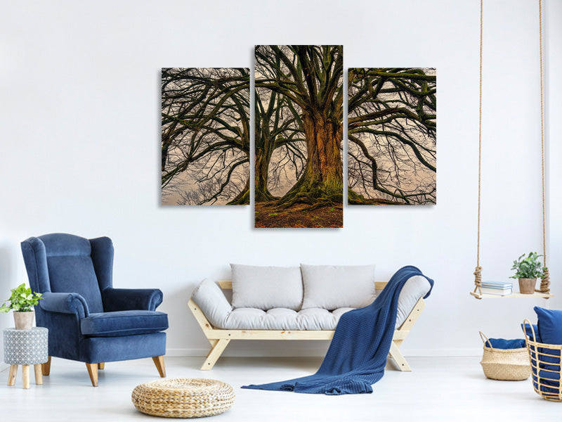 modern-3-piece-canvas-print-ghostly-trees