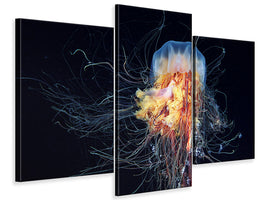 modern-3-piece-canvas-print-giant-lions-mane