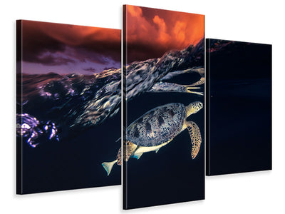 modern-3-piece-canvas-print-green-turtle-and-sunset-sea-turtle