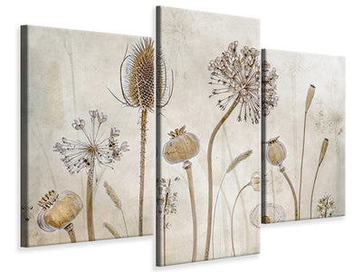 modern-3-piece-canvas-print-growing-old