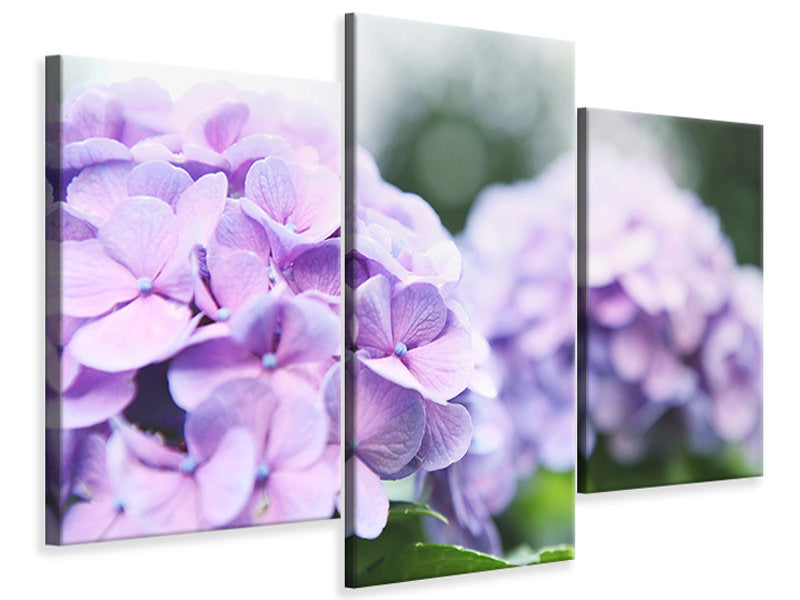 modern-3-piece-canvas-print-hydrangeas