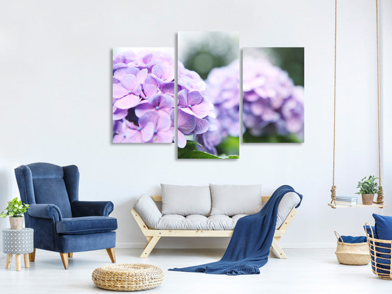 modern-3-piece-canvas-print-hydrangeas