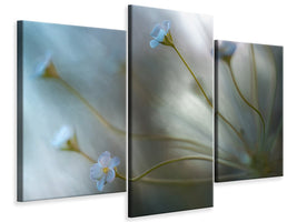 modern-3-piece-canvas-print-jasmine