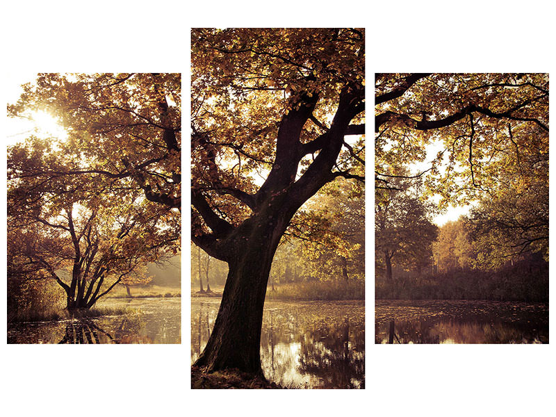 modern-3-piece-canvas-print-landscape-park