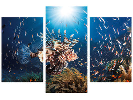 modern-3-piece-canvas-print-lionfish