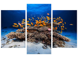 modern-3-piece-canvas-print-marine-life