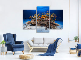 modern-3-piece-canvas-print-marine-life