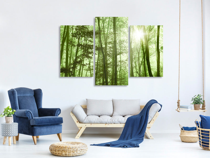 modern-3-piece-canvas-print-nibelungen-forest