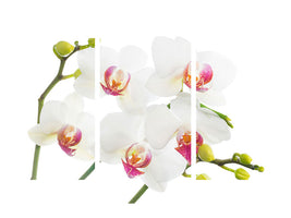 modern-3-piece-canvas-print-orchids-love