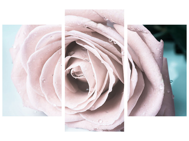 modern-3-piece-canvas-print-pastel-rose