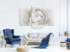 modern-3-piece-canvas-print-ranunculus