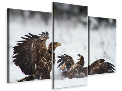 modern-3-piece-canvas-print-ready-to-fight