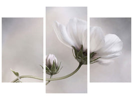 modern-3-piece-canvas-print-simply-cosmos