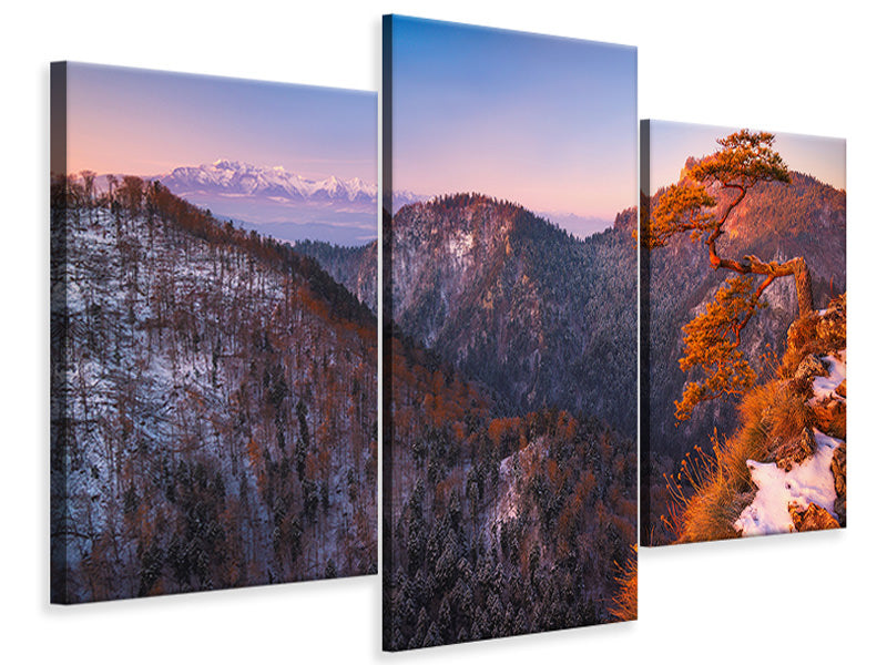 modern-3-piece-canvas-print-sokolica