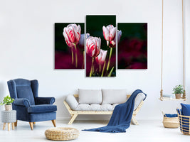 modern-3-piece-canvas-print-the-beauty-of-the-tulips