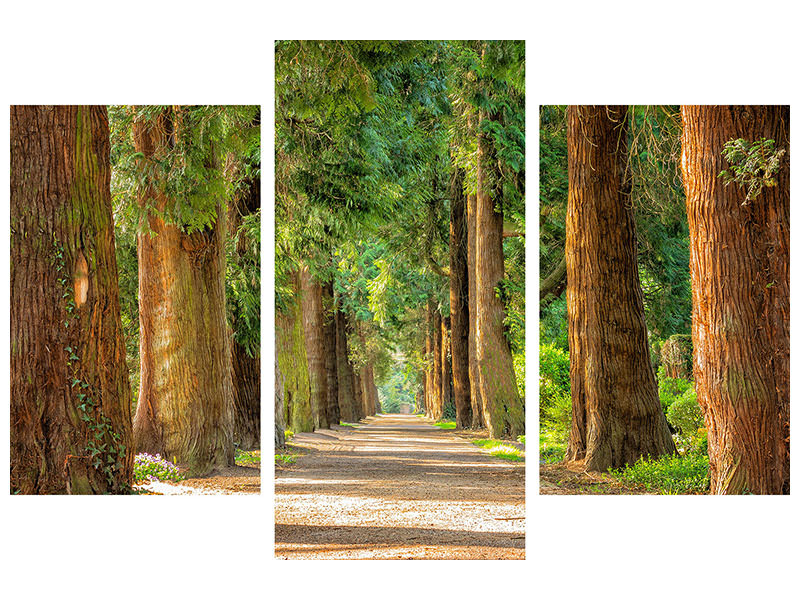 modern-3-piece-canvas-print-the-green-avenue