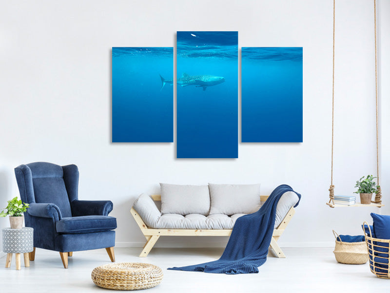 modern-3-piece-canvas-print-the-whale-shark