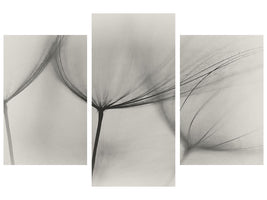 modern-3-piece-canvas-print-tragopogon