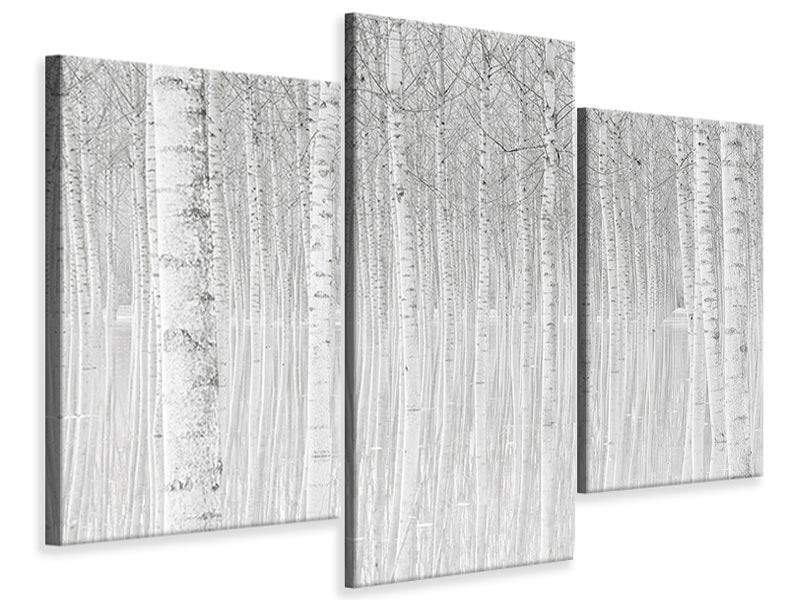 modern-3-piece-canvas-print-trees