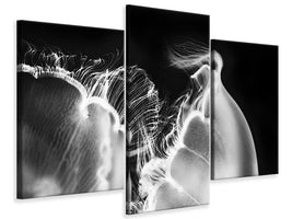 modern-3-piece-canvas-print-untitled-iii-a