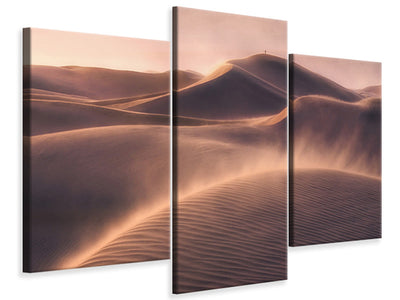 modern-3-piece-canvas-print-viento-de-arena