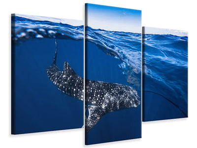 modern-3-piece-canvas-print-whale-shark-on-split-level