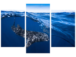 modern-3-piece-canvas-print-whale-shark-on-split-level