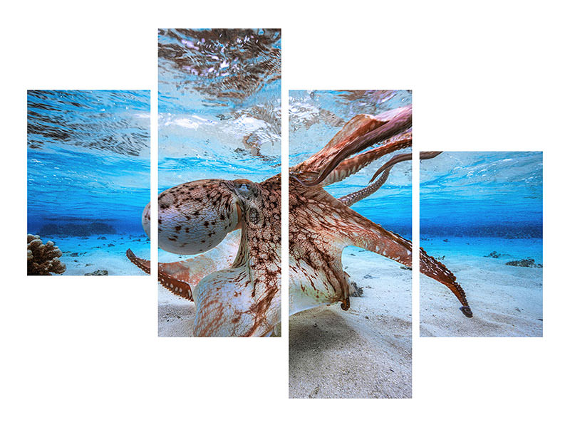 modern-4-piece-canvas-print-dancing-octopus