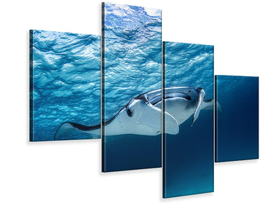 modern-4-piece-canvas-print-manta-ray