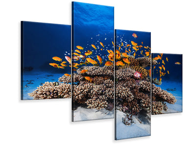 modern-4-piece-canvas-print-marine-life