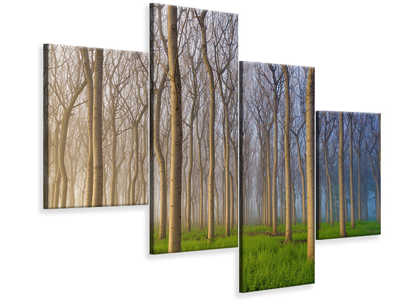 modern-4-piece-canvas-print-morning-of-the-forest