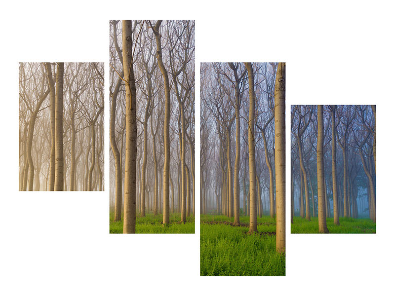 modern-4-piece-canvas-print-morning-of-the-forest
