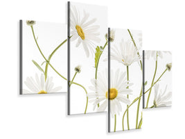 modern-4-piece-canvas-print-ox-eye-daisies