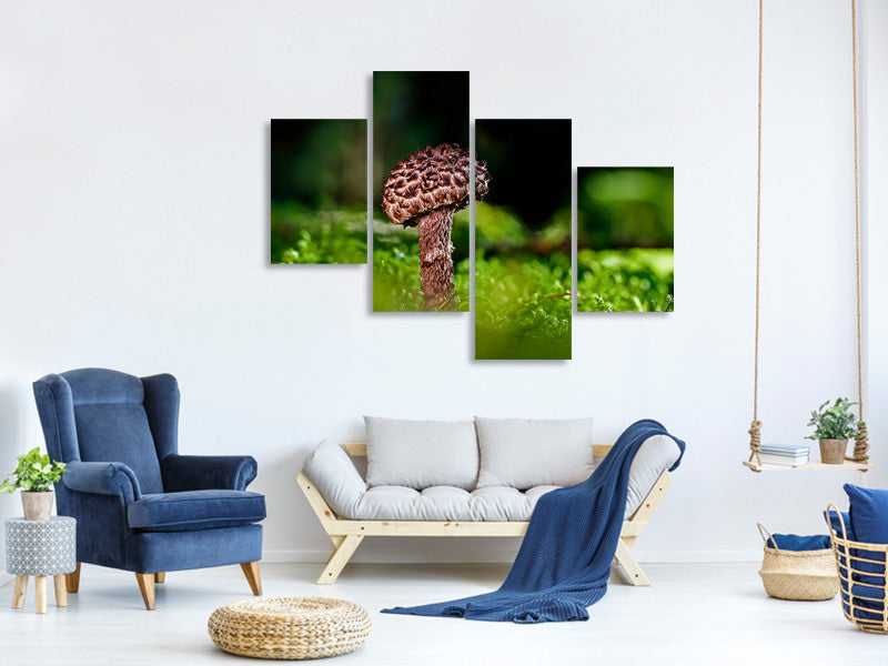 modern-4-piece-canvas-print-strobilomyces-strobilaceus